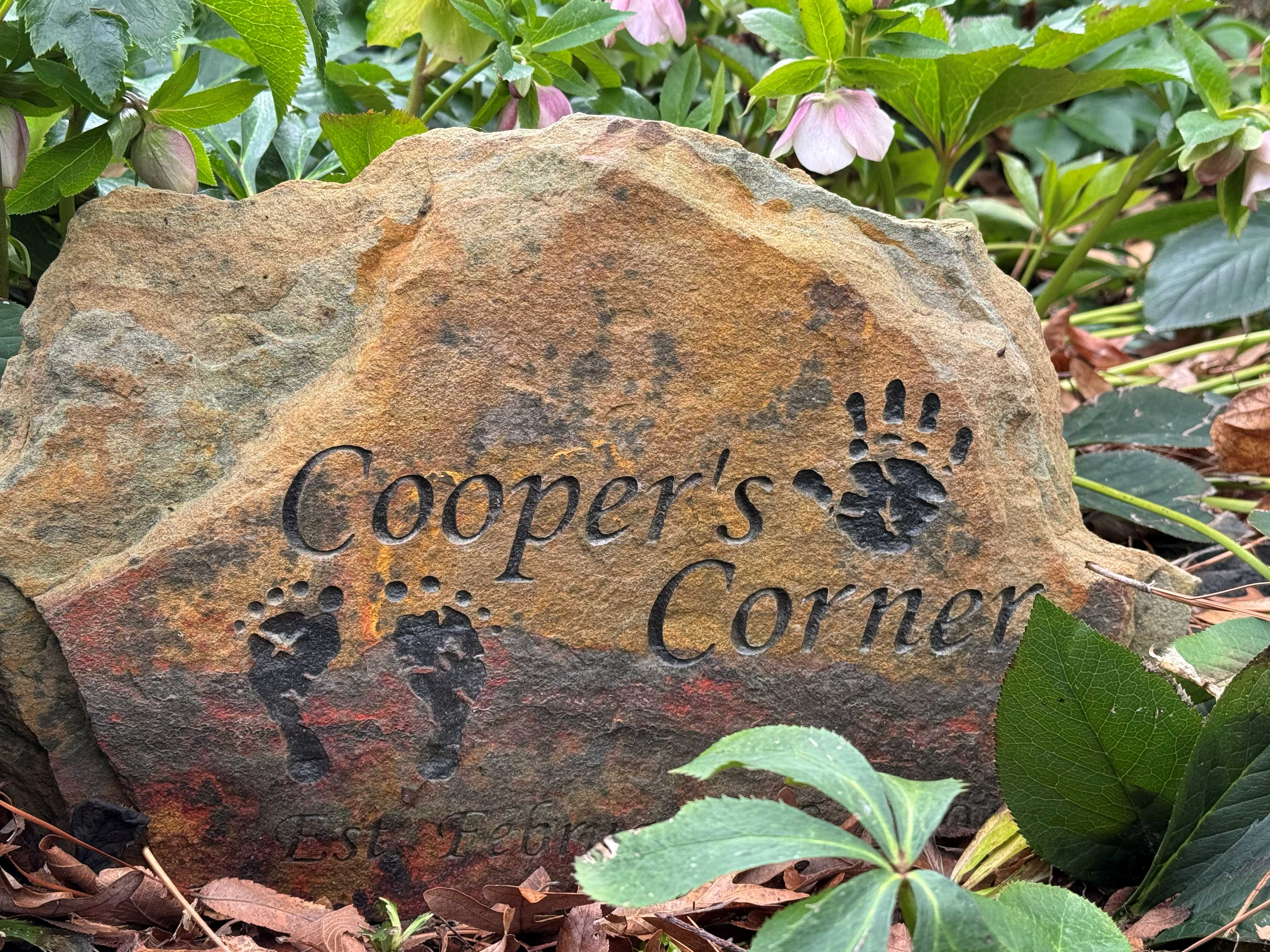 Engraved memorial stepping stone for stillbirth with baby handprints and footprints in a backyard sanctuary called Cooper’s Corner. A personal tribute to a son born still 25 years ago.